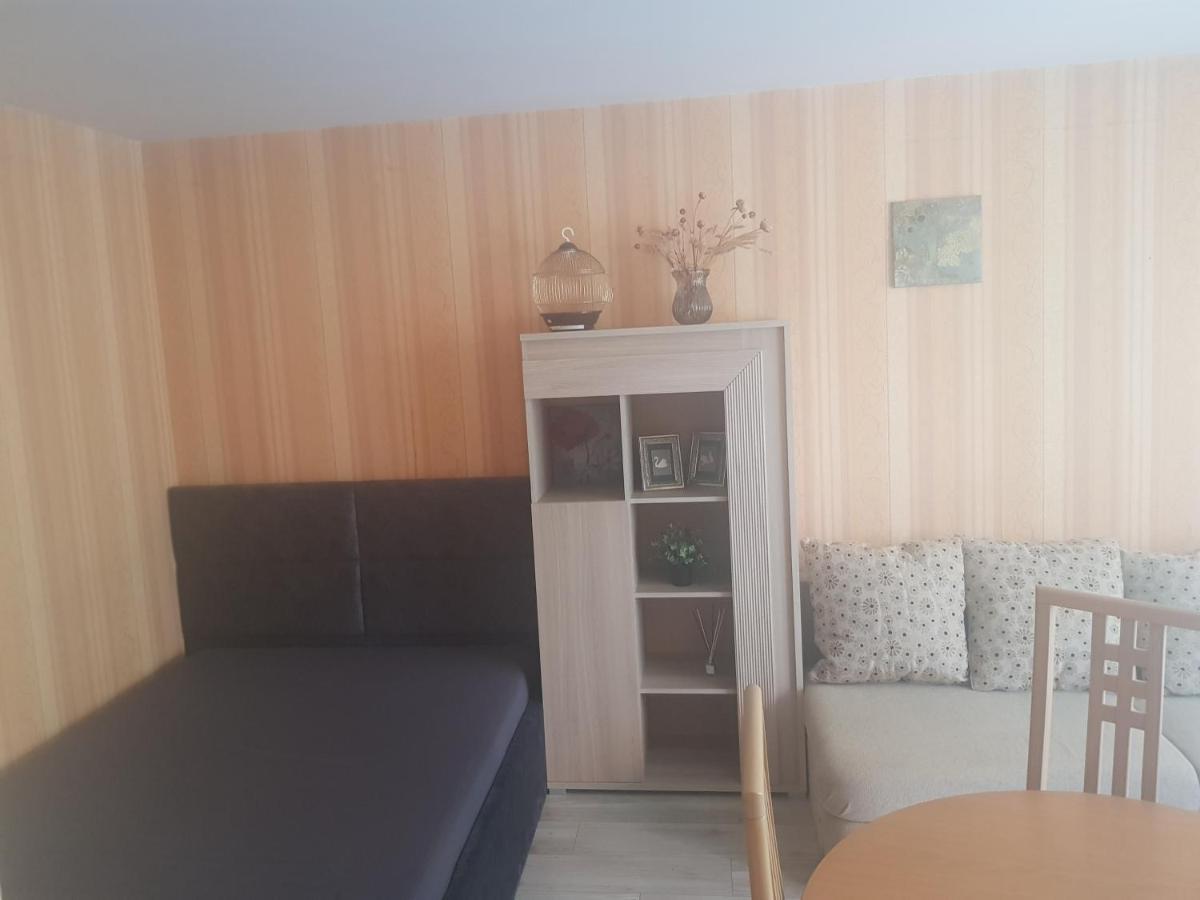 Danes Apartment By The River Klaipeda Luaran gambar